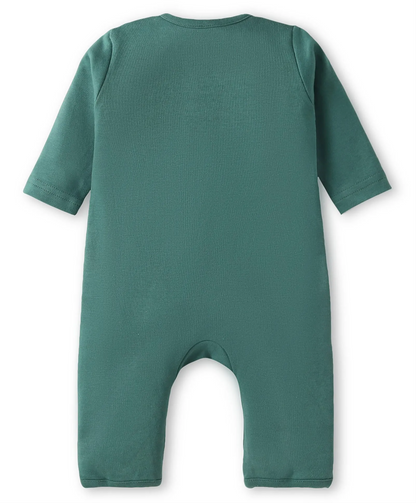 Interlock Knit Full Sleeves Rompers with Printed Graphics Pack of 3 - Red Green & Blue